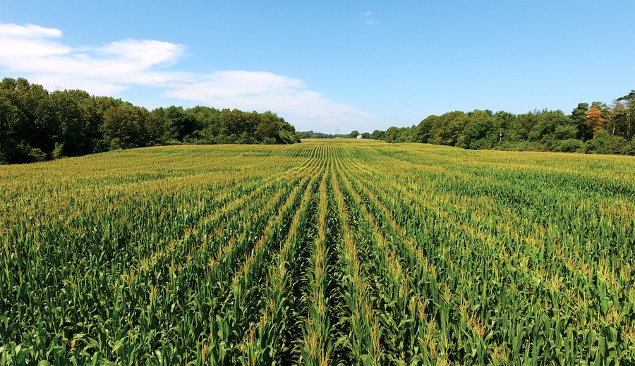 LAND AUCTION - 75.2+/- ACRES OFFERED IN 7 TRACTS IN ST. JOSEPH CO., INDIANA
